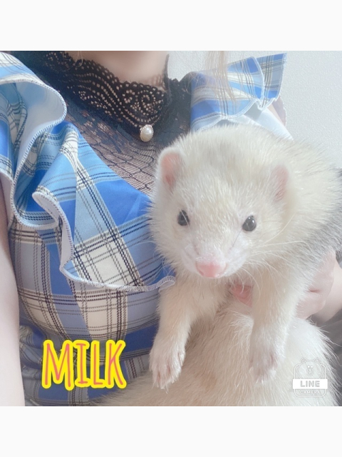🔥イチャイチャ🩷🍼🍌