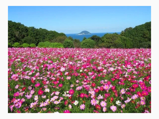 今日もありがとうございました💕