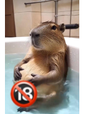 出勤