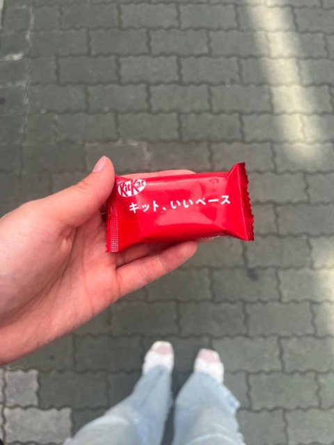 🤎あした🤎