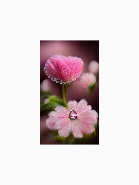 有り難うございます💓