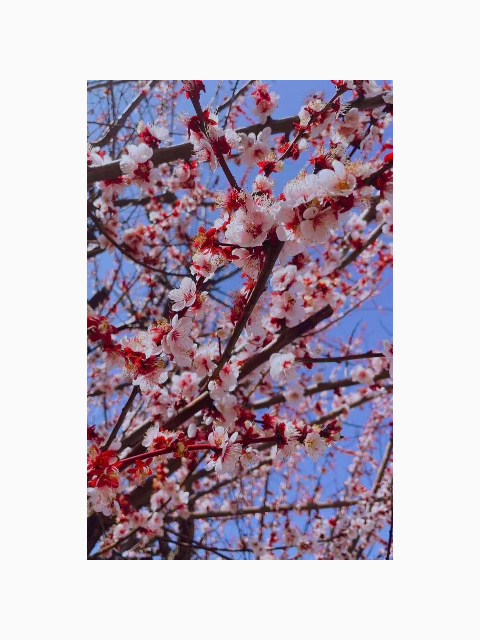 あと3日♡
