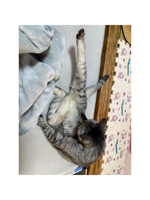 本日もありがとうございました ( ˶'ᵕ'˶)ෆ