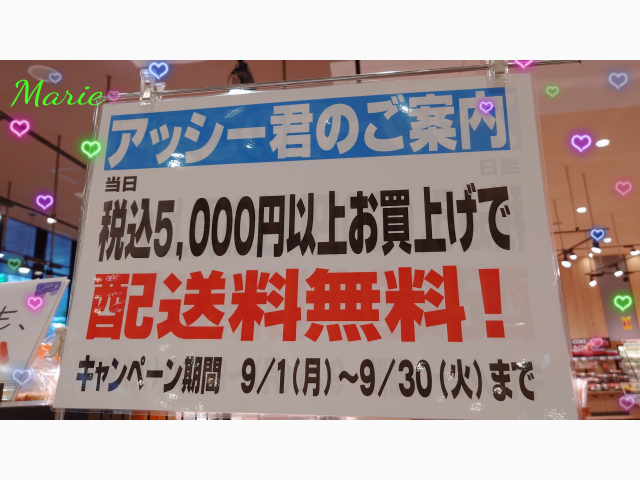 ☆アッシーくん