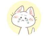 ごめんなさいごめんなさい💦