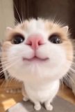 今月♡