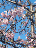出勤しました😊