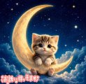 🌕夜🌙割引タイム♪