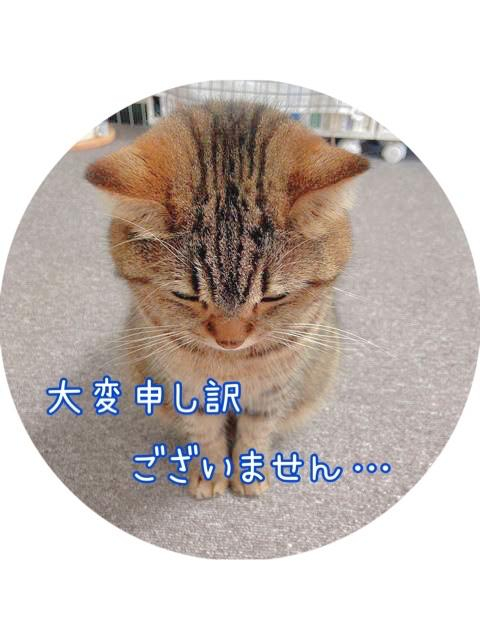 ☆本日お休みさせていただきます??♀?☆