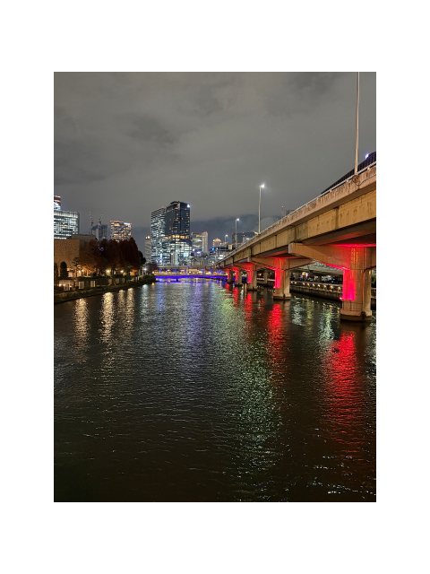 こんばんはー🐰🌕