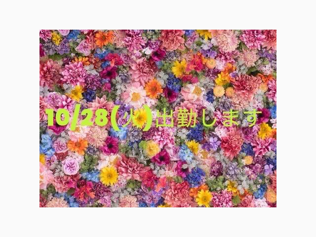 🌼10/28(火)出勤します🌼