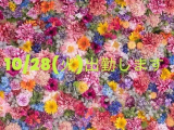 🌼10/28(火)出勤します🌼