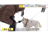 へんしんおくれる