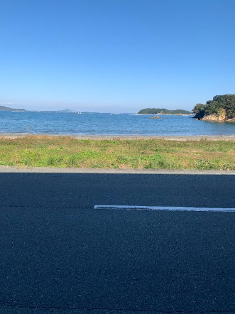 こんばんは