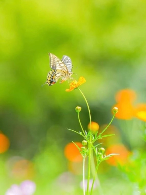 今向かってます💨💨💨