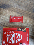 きっと新しい風が吹く