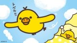 たいきん！