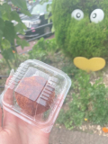 だいすきな🍪♡