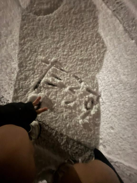 ゆきやー⛄️