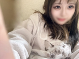 お気に入りの🐈
