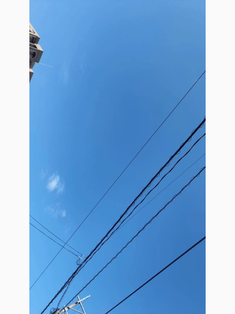 おはようございます🩷