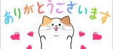 7/17（月）小粋の仲良しのア◯さん☆