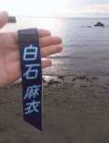 (｡･ω･)ﾉ