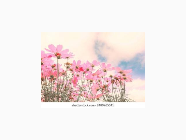 お久しぶりです❣️😊💕