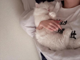 同衾㊙️たぶん消す💧‬