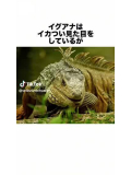 イグアナ怖