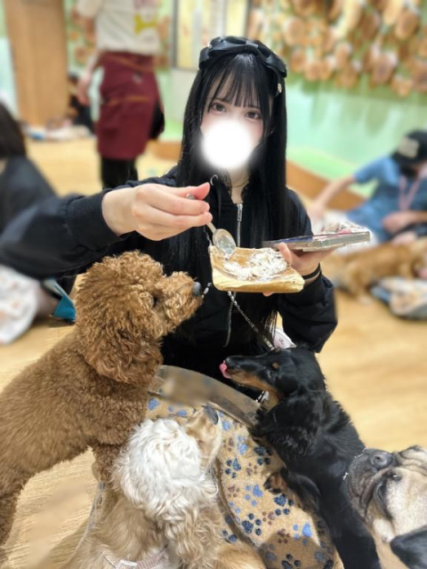 わんことたわむれ🐶 🐾