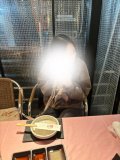 わん