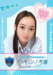 愛原ゆか、甘サド乳首責め専門「ちくキュンっ!学園」~あの日の乳首責めを僕は忘れない~