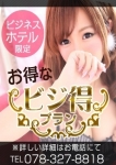 『ビジ得プラン』