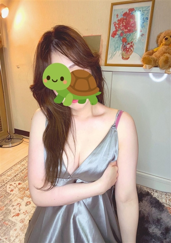 うた、もしもし亀よ亀さんよ 名古屋店