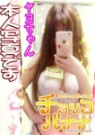 ヤヨ