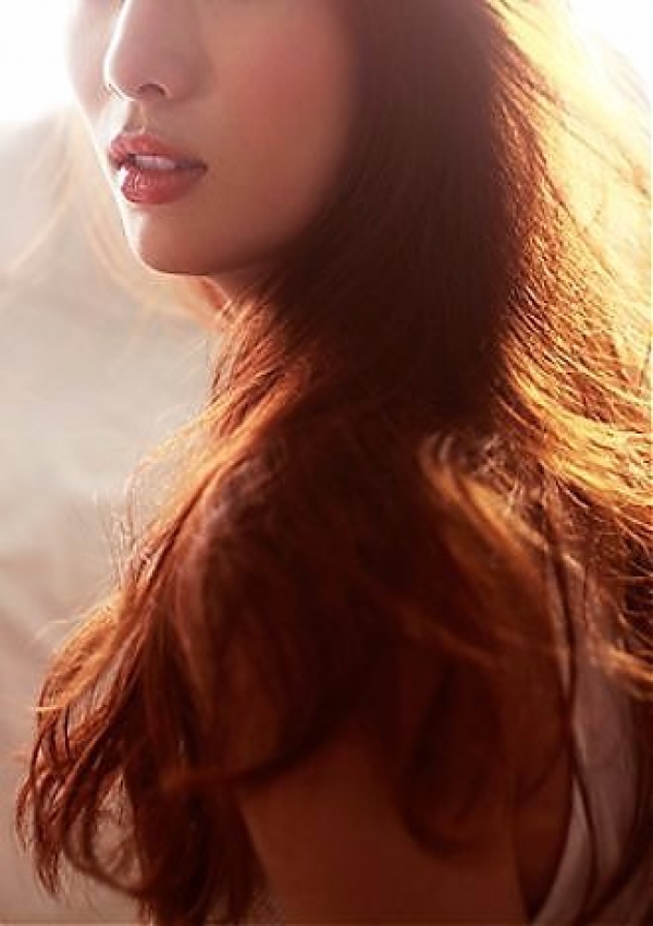 若菜、シャングリラ 3