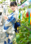 サムネイル14