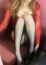 らいら奥様