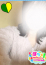 体験なな