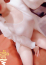 サムネイル8