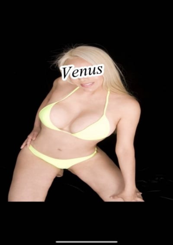 ソフィア、Venus-ヴィーナス- 1