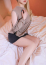 サムネイル3