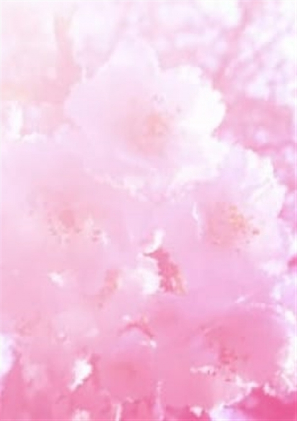 瑠藺‐るい‐、月夜の桜 1