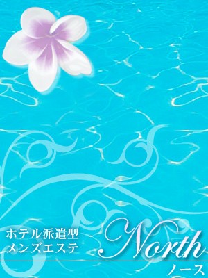 りる、NORTH新大久保
