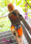 サムネイル5