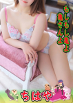 ちはや、もしもし亀よ亀さんよ 名古屋店