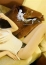 サムネイル5
