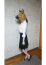 サムネイル8