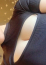 サムネイル6